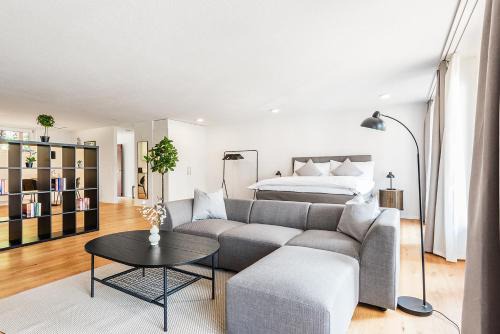 Schaffhausen Apartment | CITY-LOFT 1 !Gratis parken, Free parking!