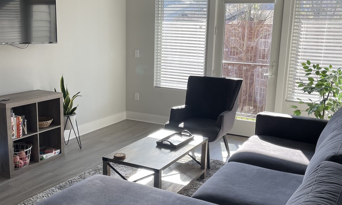 North Druid Hills Apartment | City Vibes