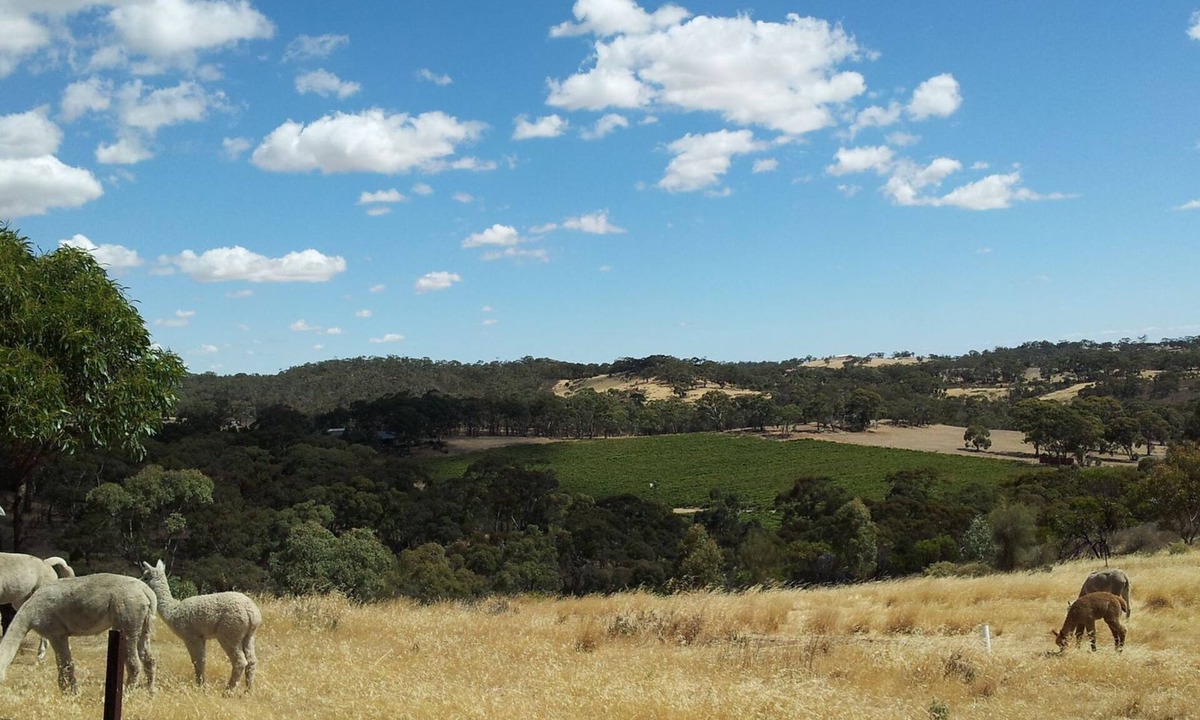 Emu Flat Cottage | Clare View COTTAGE (pet friendly) Sleep 4