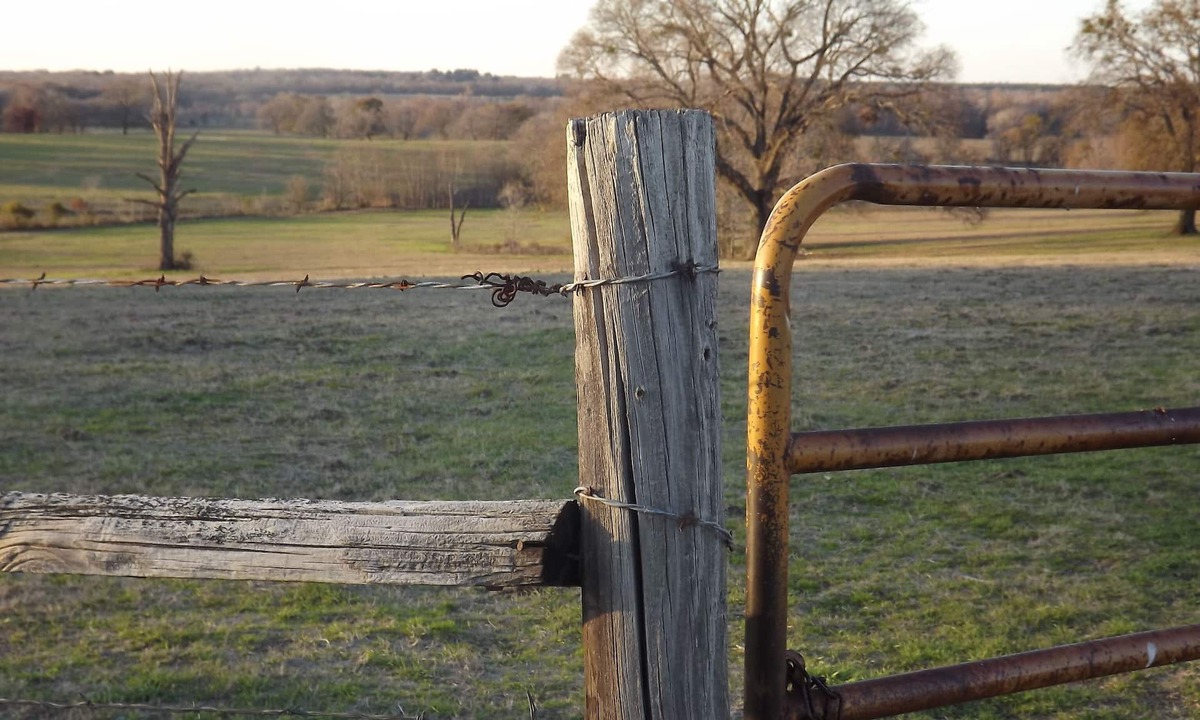 Montalba Other | Classic Family Ranch - Experience Real Texas Country