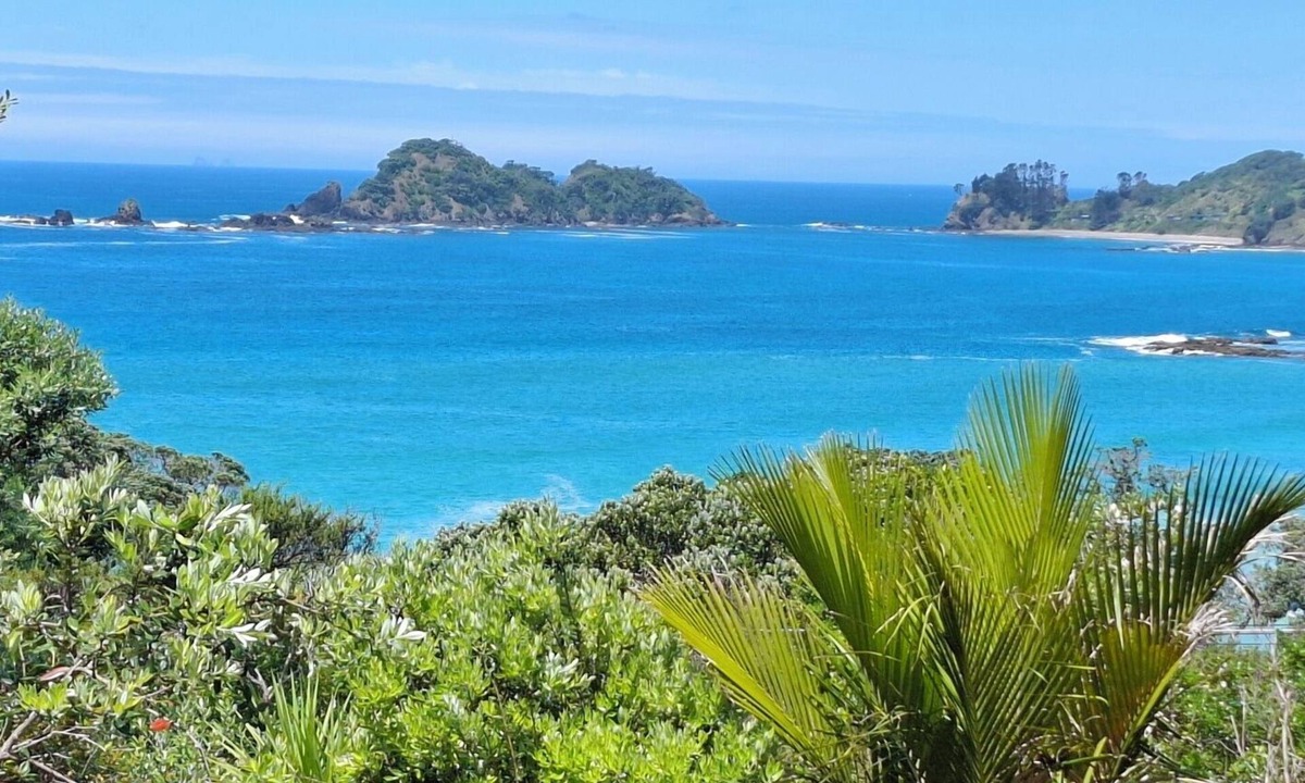 Whananaki North House | Classic Kiwi Bach – Moureeses Bay