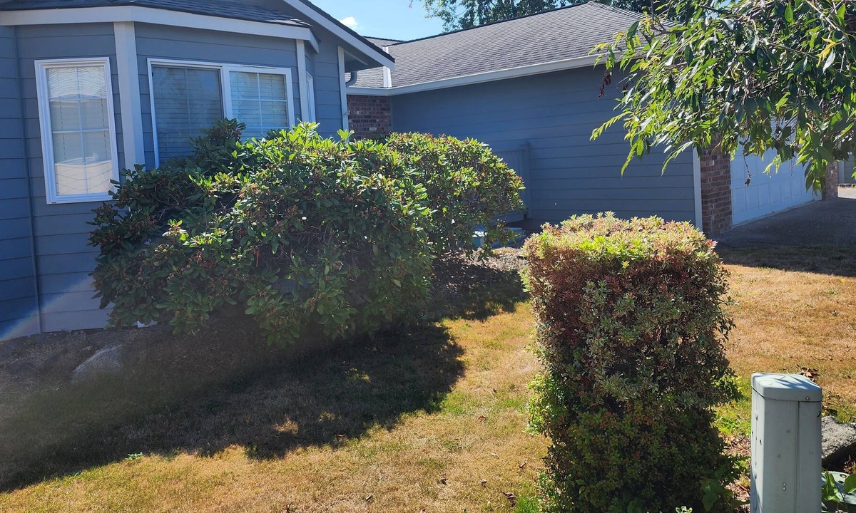 Marysville House | Clean, and Comfortable 3 bedroom House