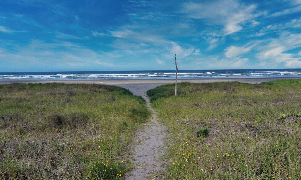 Grayland Cottage | CLEAN Beach Cottage + Beach Path!