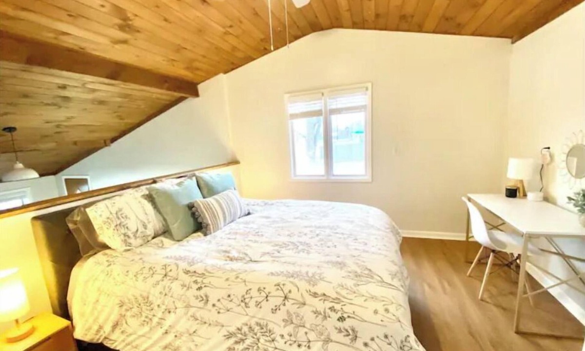 Eden House | Clementine 🍊