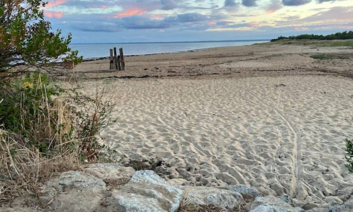 Le Teich Villa | Climatisation, Piscine Chauffée, Pétanque, Calme