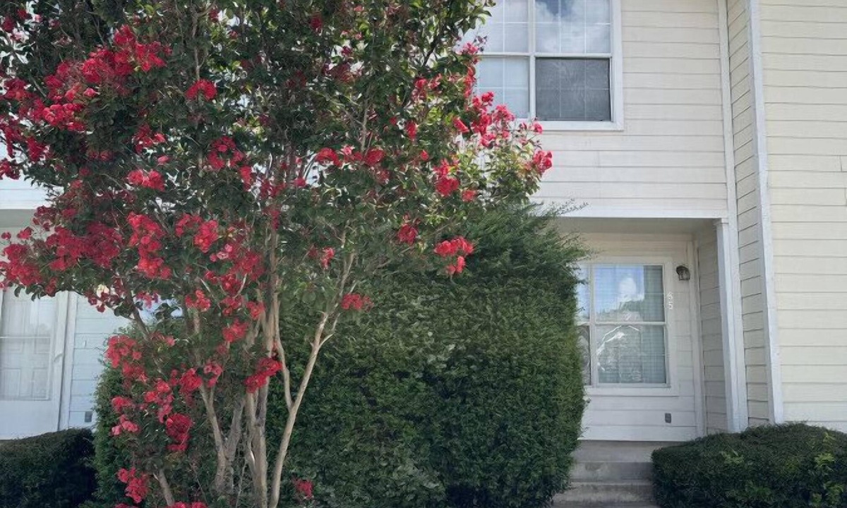 Heritage House | Close to Sea World & Lackland AFB Stay