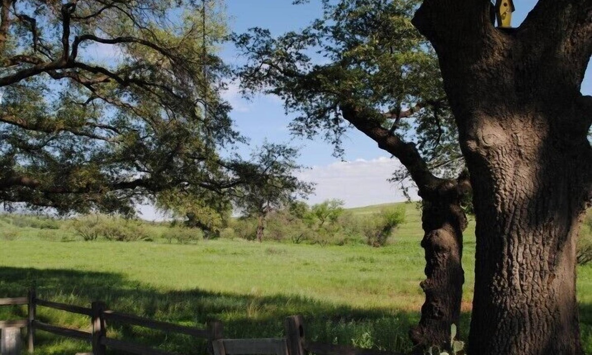 Sonoita House | Close to Wineries, Kartchner Carverns, Patagonia, Cozy, Quiet, Scenic View