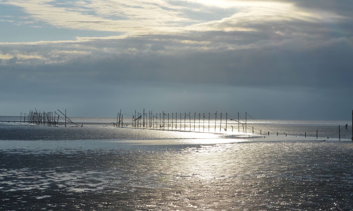 Rockcliffe House | Clouded Yellow - Beautiful Modern Lodge, Kippford