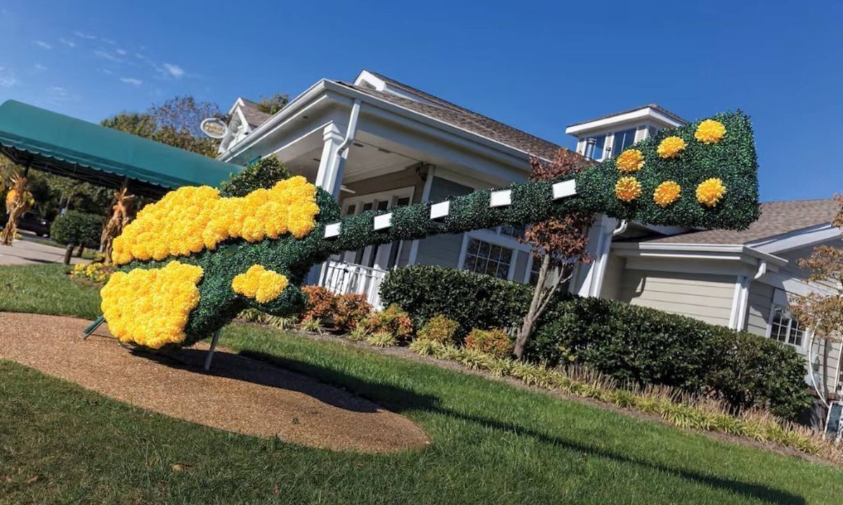 Pennington Bend Condo | Club Wyndham Nashville 2bedroom 2bath multiple weeks available!