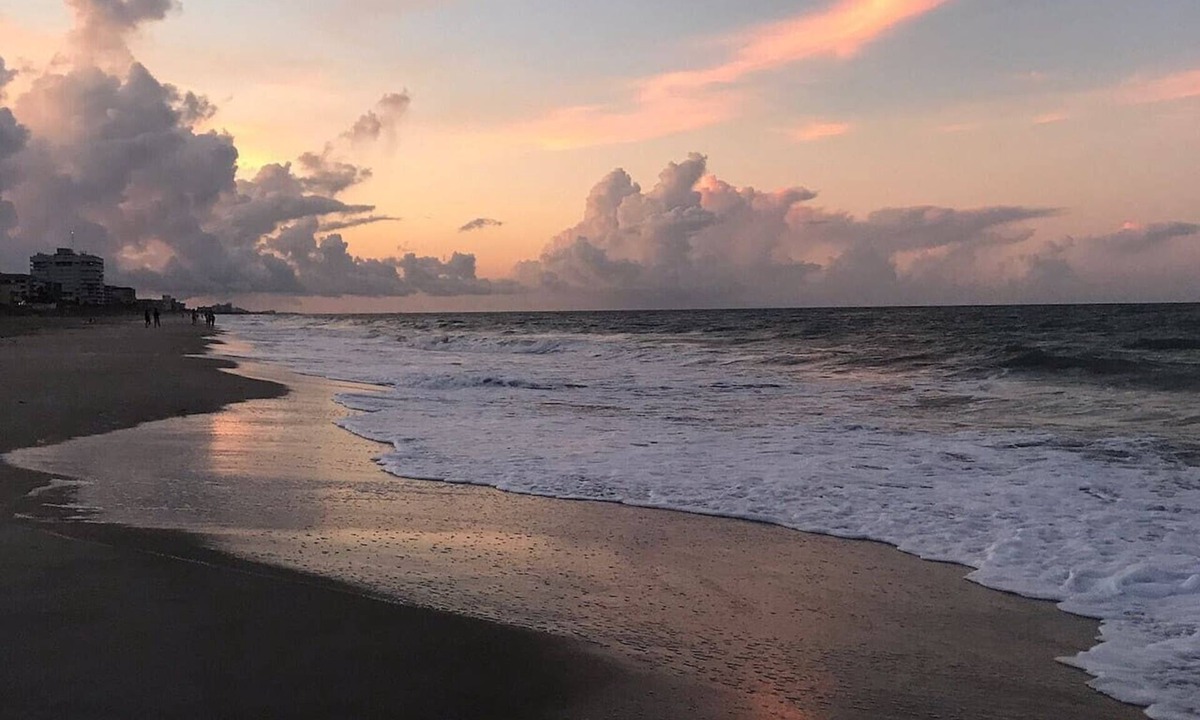 Tropic House | Coastal Cove