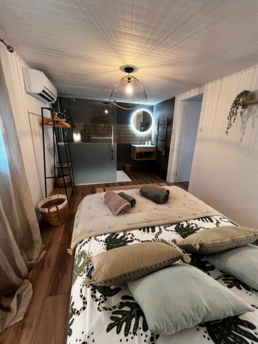 Puget Apartment | Cocon cosy appart romantique, jacuzzi piscine