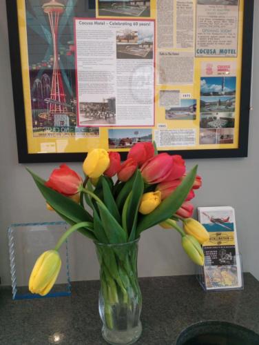 Burlington Hotel | Cocusa Motel