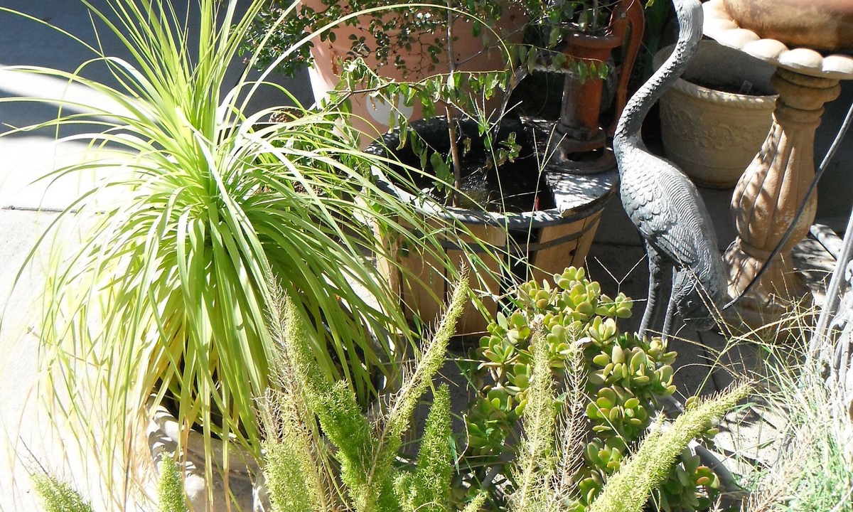 Colusa Hotel | Colusa Riverside Inn