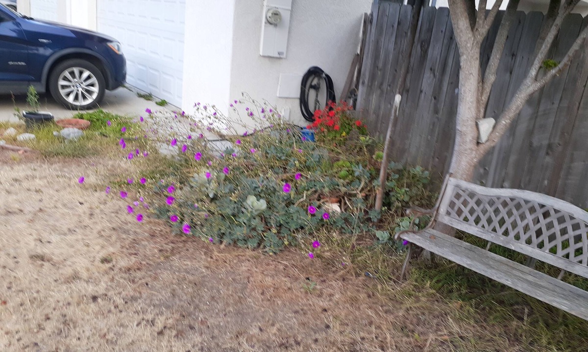 Hope Resort | Come and enjoy the perfect getaway.