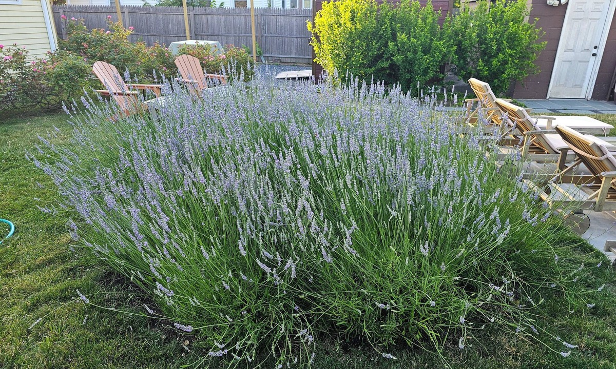 Sayville Bed & Breakfast | Come As You Are Inn