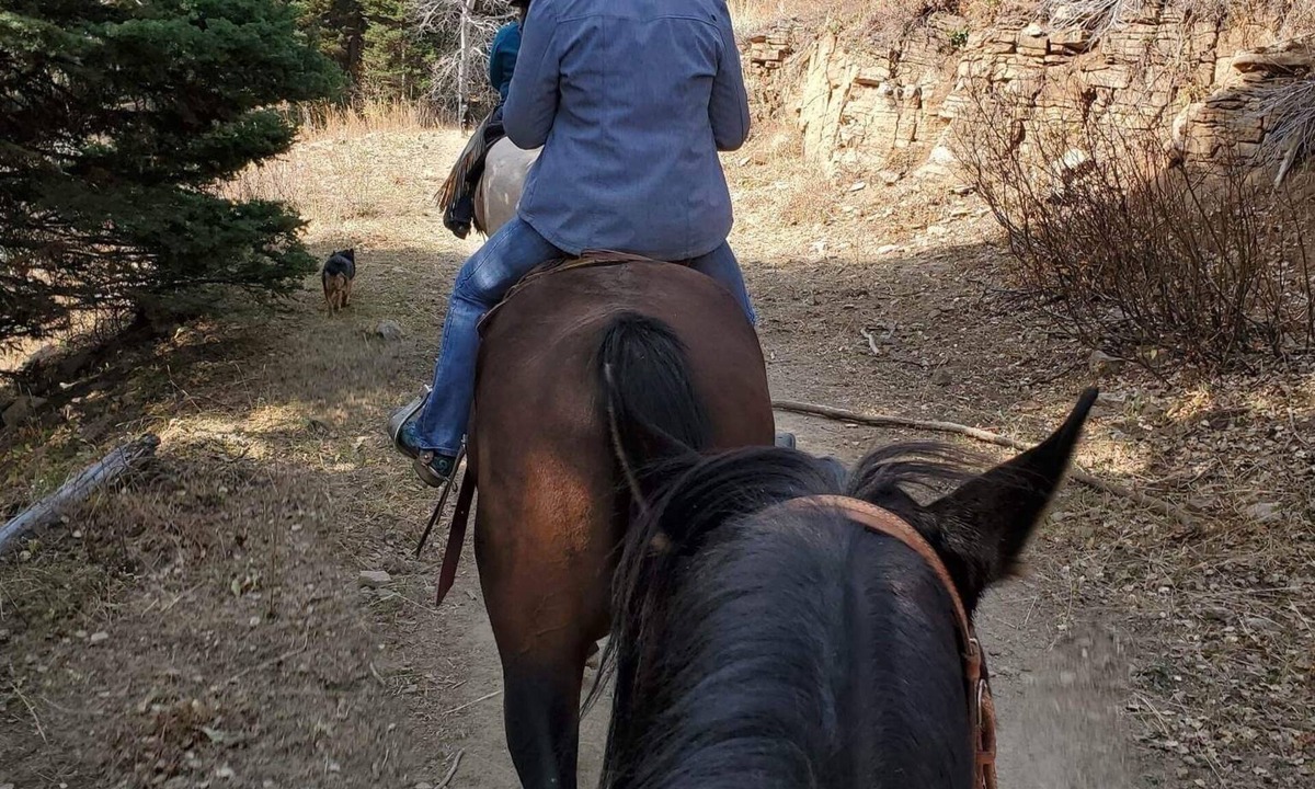 Bone RV Rental | Come camping on a 100 year old cattle ranch