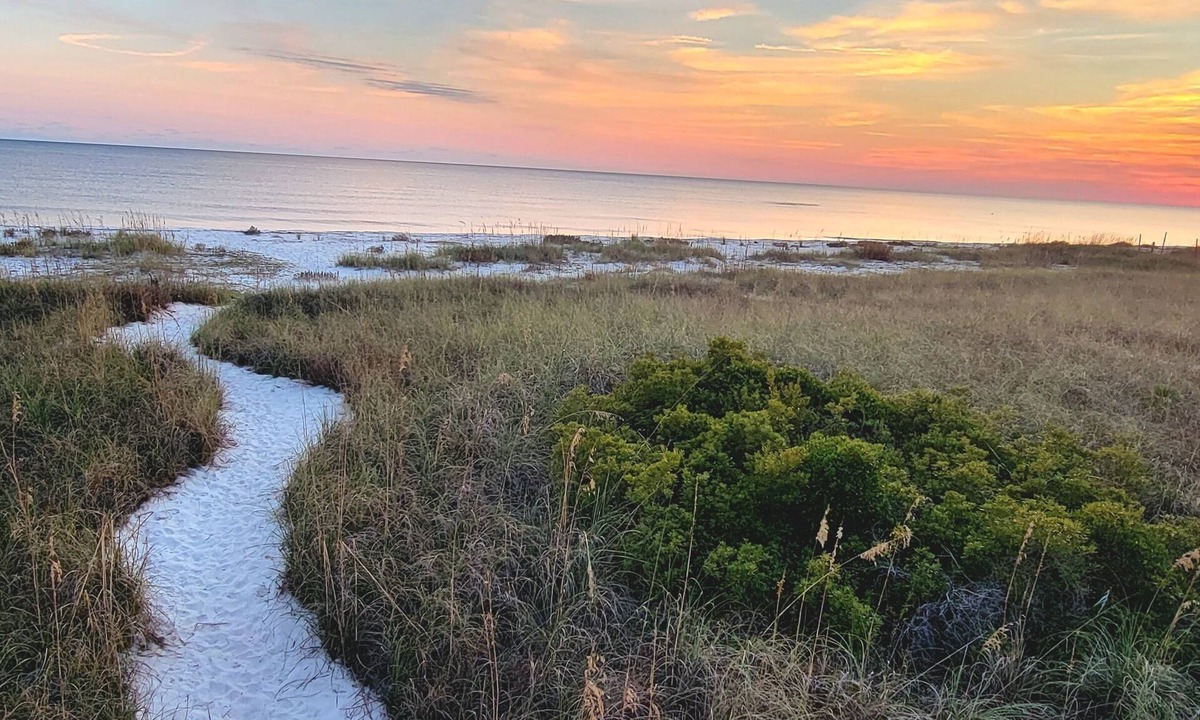 Alligator Point House | Come enjoy our dream vacation home