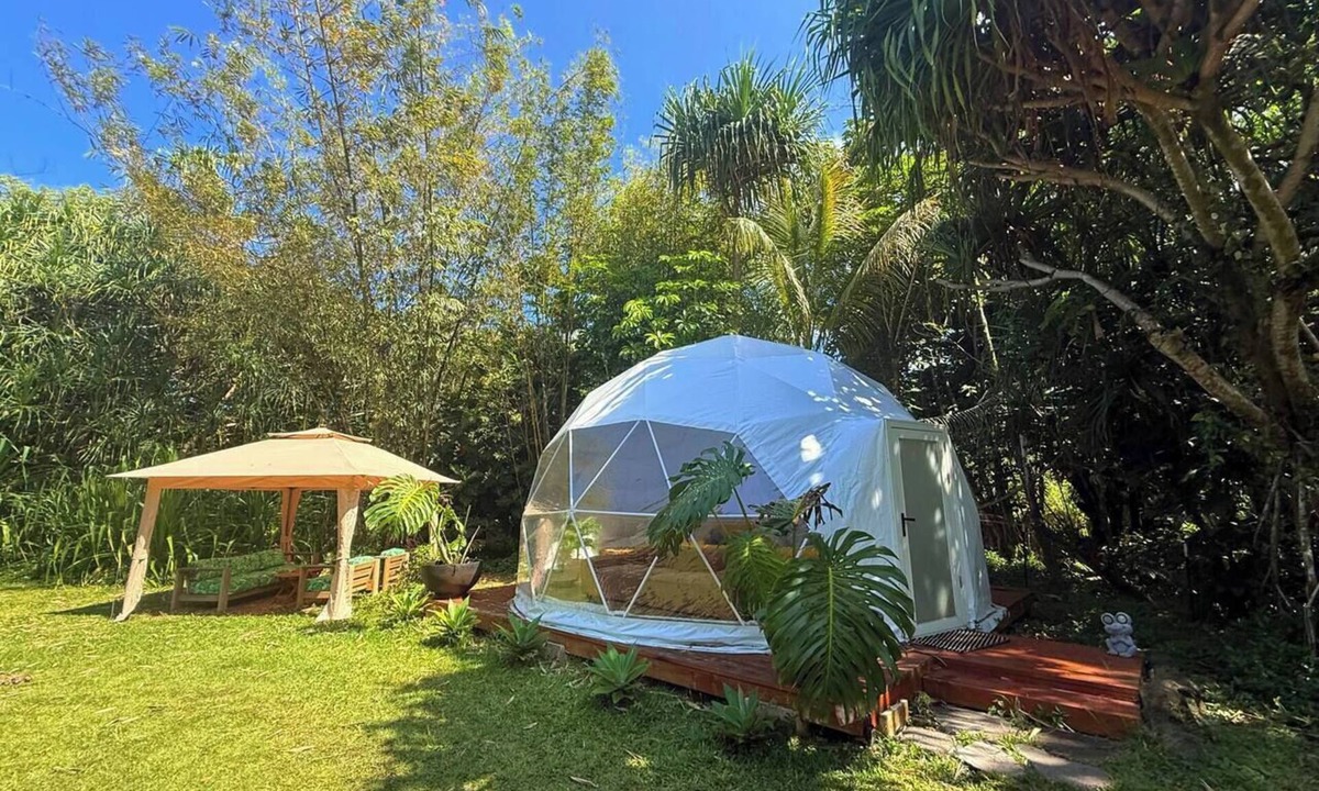 Waa Waa House | Come sleep in the jungle Glamping Experience