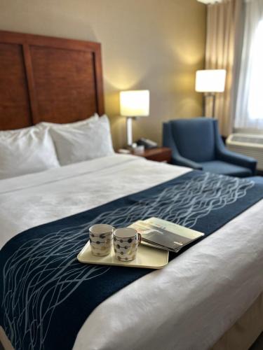 Saint Georges Hotel | Comfort Inn