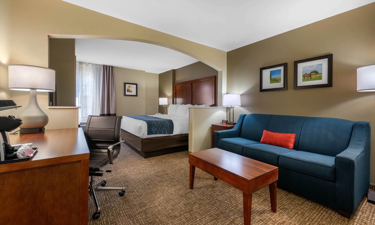 Ocala Hotel | Comfort Inn Ocala Silver Springs