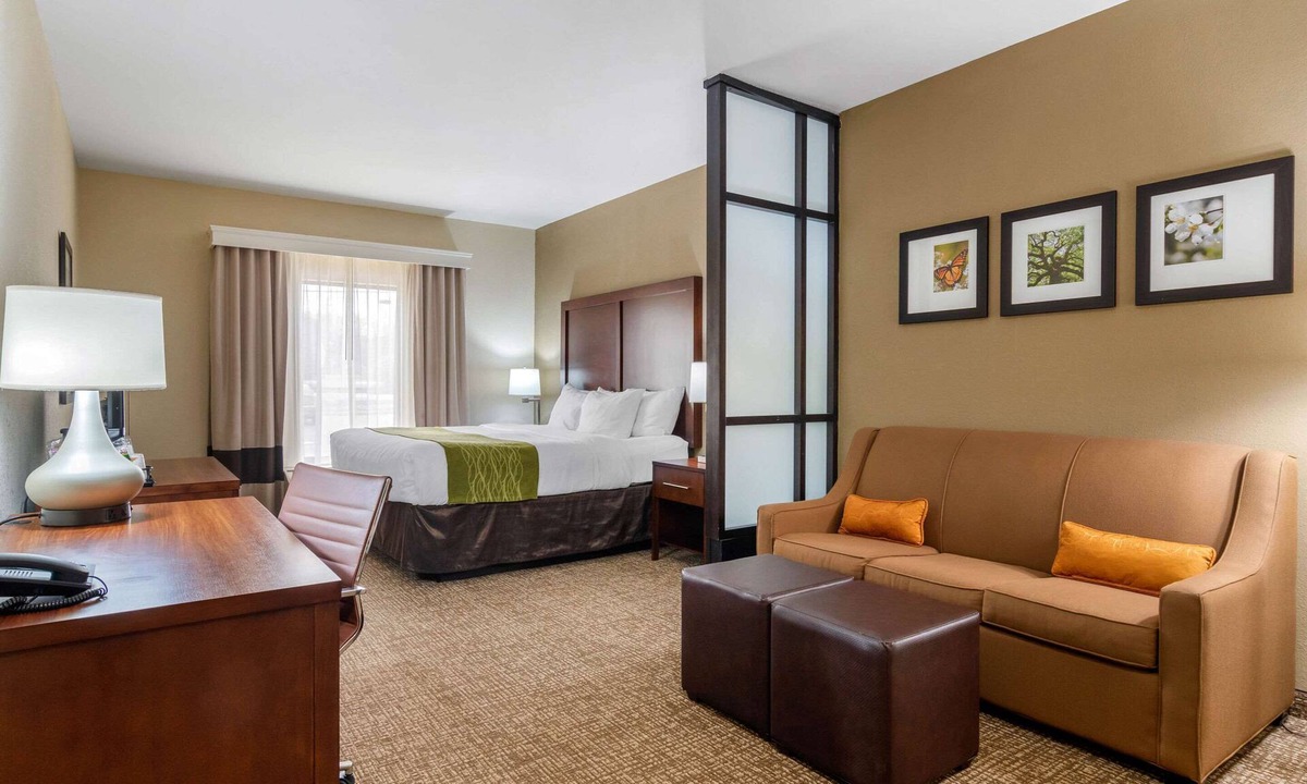 Griffin Hotel | Comfort Inn & Suites Griffin North
