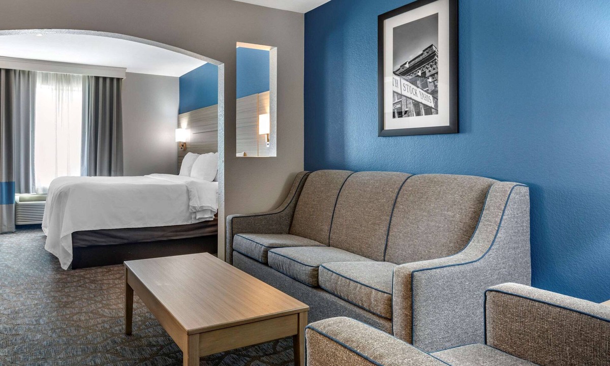 South Arlington Hotel | Comfort Inn & Suites Mansfield