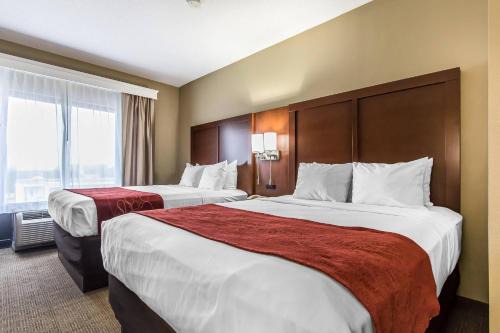 Effingham Hotel | Comfort Suites Effingham Central