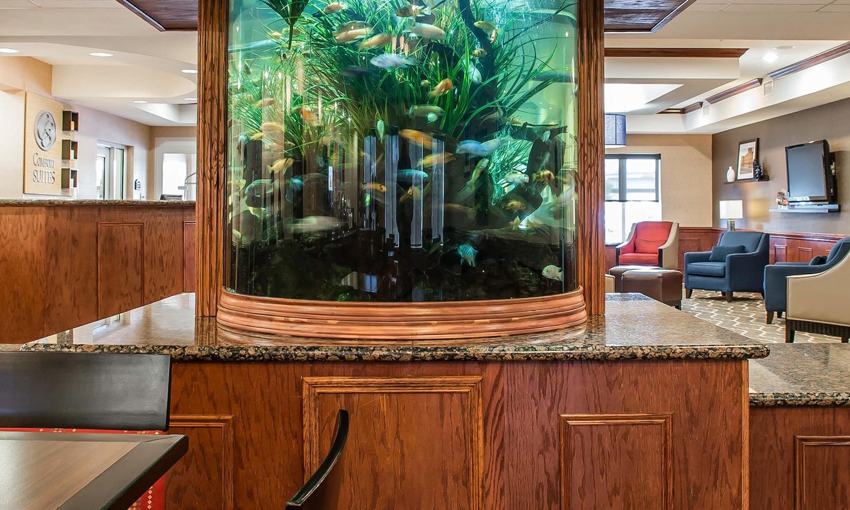 Bay Area Hotel | Comfort Suites Near Texas A&M University - Corpus Christi