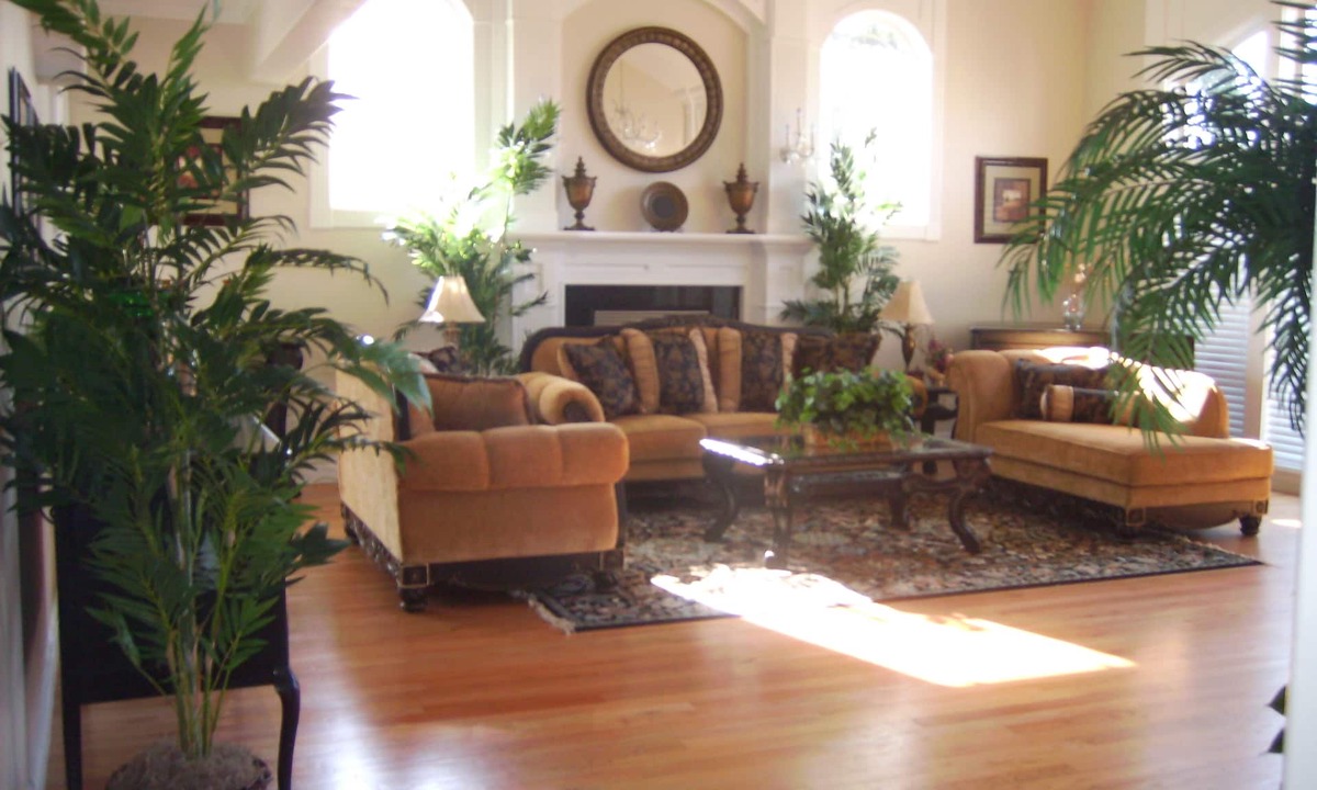 Kenmore Villa | Comfortable and spacious 5-bedroom villa Sleeps 16