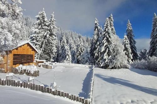 Laax Apartment | Comfortable apartment near the ski station with parking