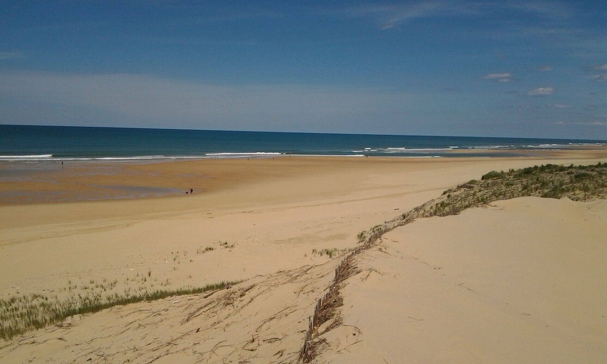 Bias House | Comfortable chalet with private garden 4 km from the ocean in the Landes forest