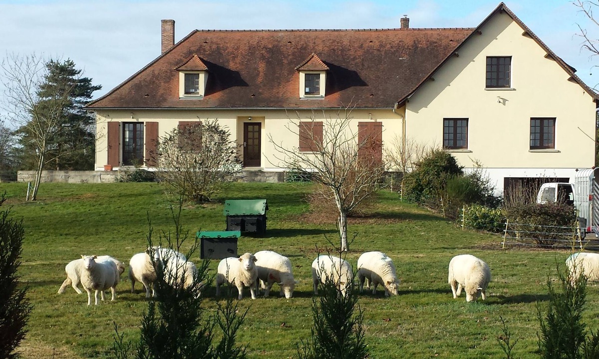 Brigueil-le-Chantre House | Comfortable, Spacious Gite with pool