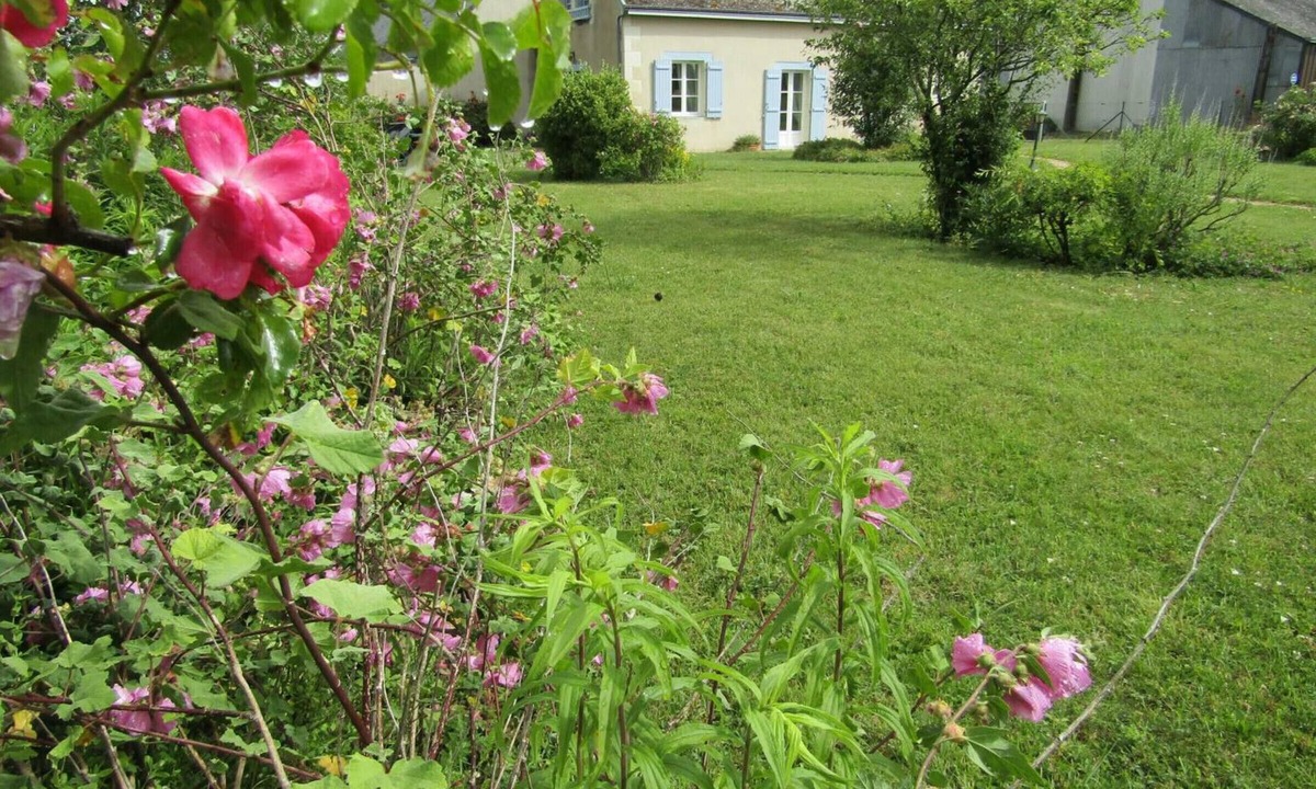 Channay-sur-Lathan Cottage | Comfortable cottage with large private garden and WIFI