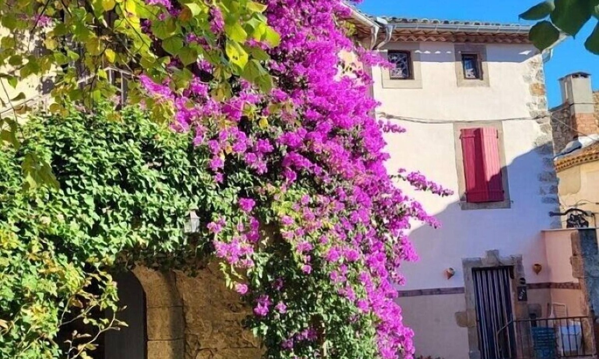 Ornaisons House | Comfortable house character