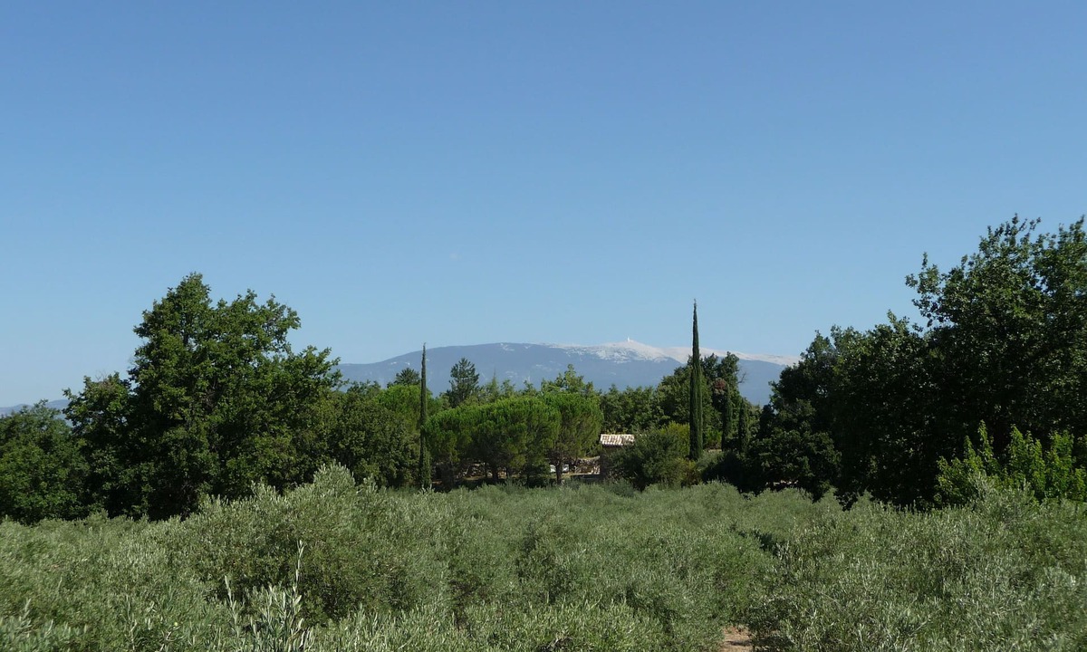 Mormoiron House | Comfortable small stone 18th Century cabin, private pool, exceptional site