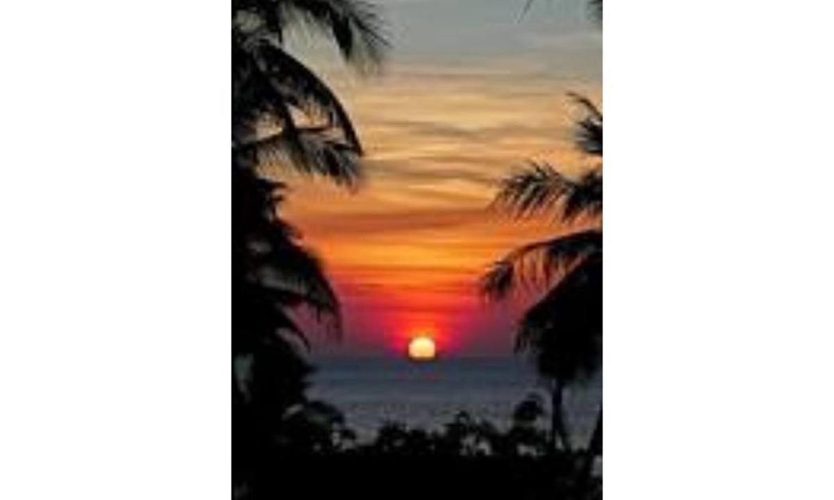 Elk Grove House | Comfy house