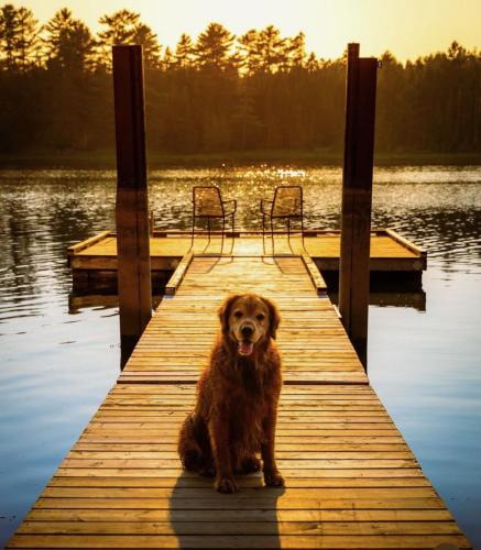 Saint Croix House | Compass Cove Cottage Oceanfront and Private trails