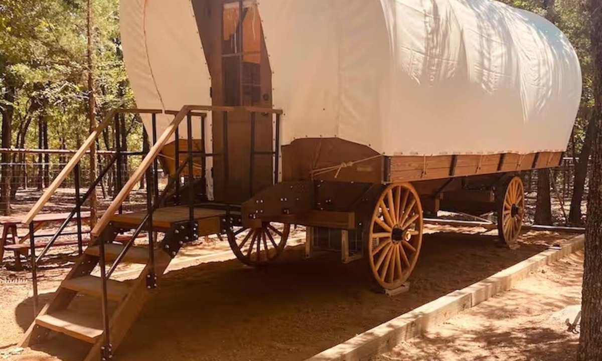 Valley View Cabin | Conestoga Wagon 2 -Wildlife Encounters and a Wild West Wagon!