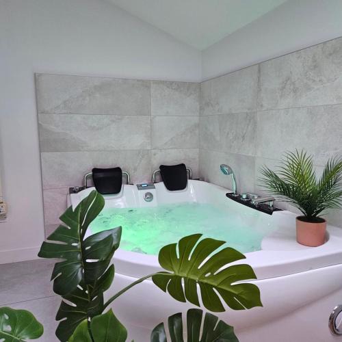 Brissac-Quince Bed & Breakfast | Confidences Escale à Brissac