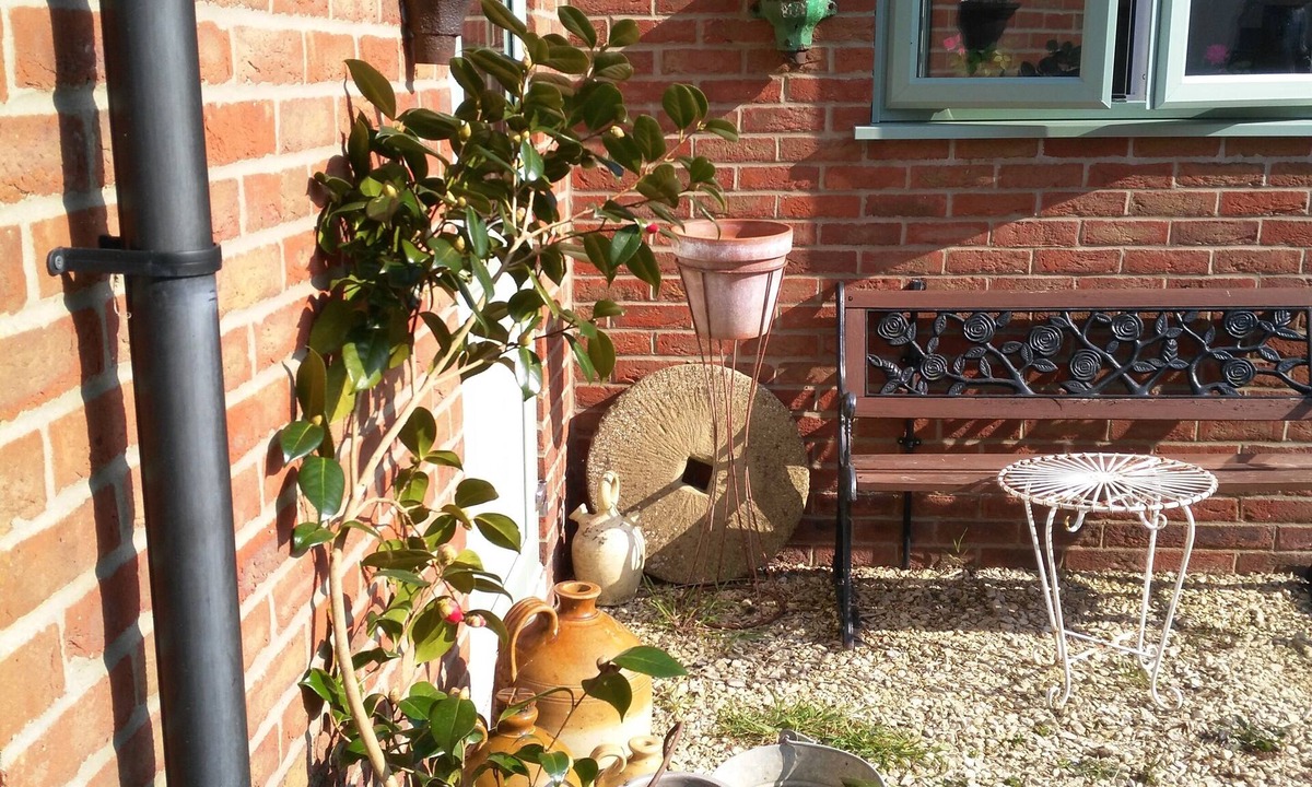 Sleaford Cottage | Contemporary Garden Cottage