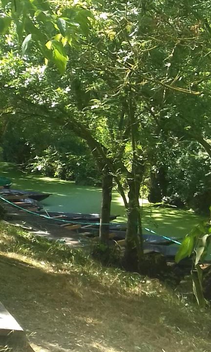 Vix House | Contre Vents et marais