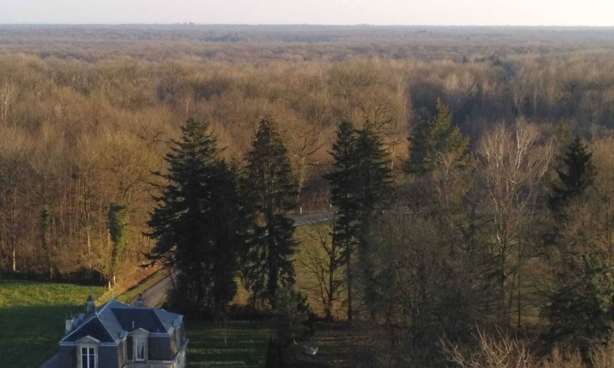 La Neuville-aux-Bois Bed & Breakfast | Converted barn, in lonely wooded area