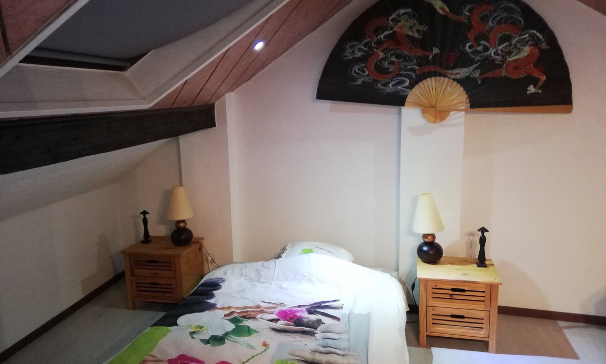 Mulhouse Apartment | Coquettish accommodation