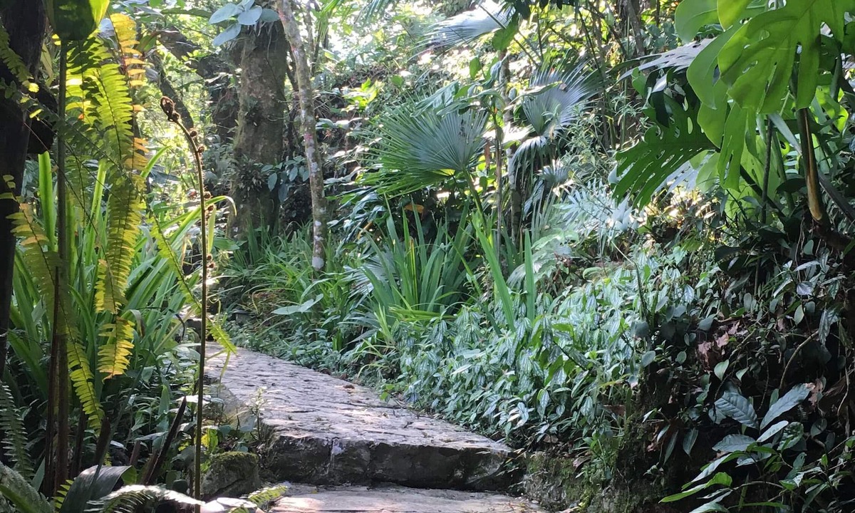 Cuetzalan del Progreso House | Corazón de Niebla
