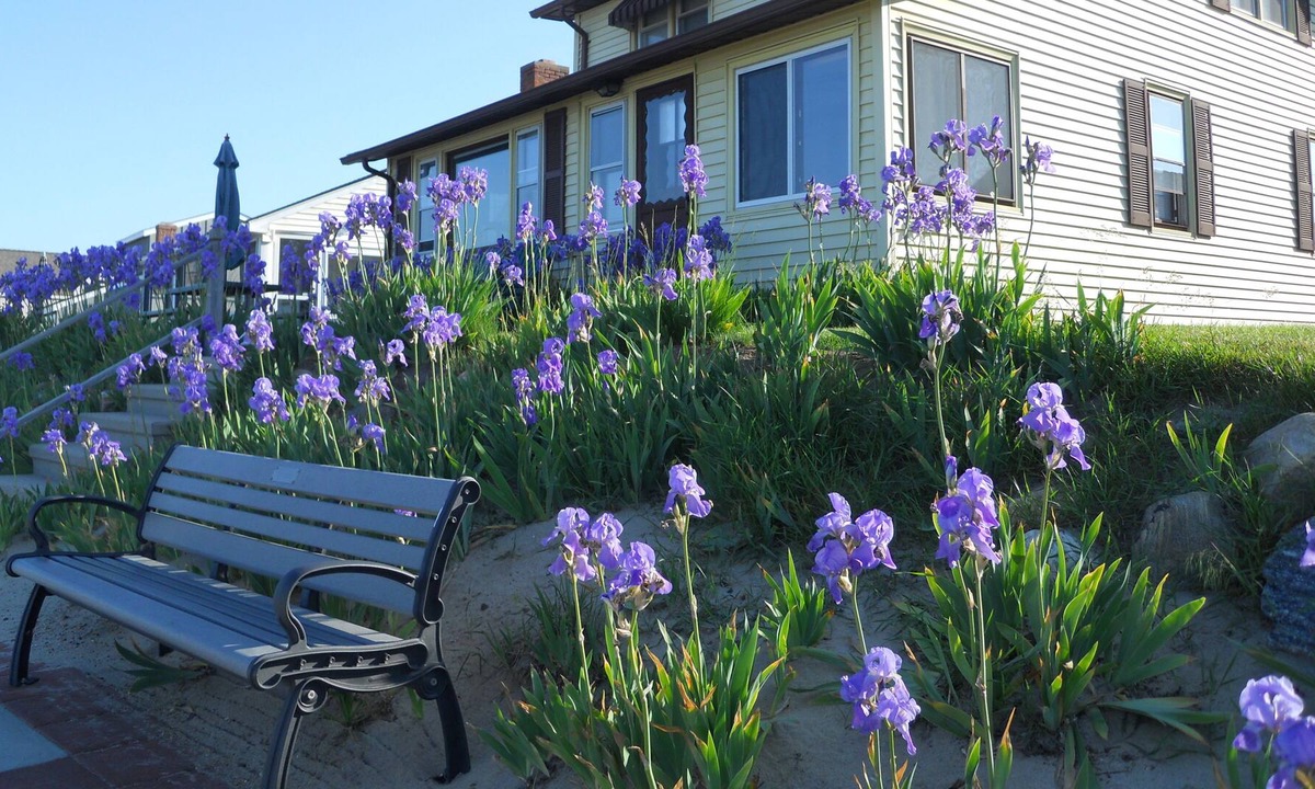 Middlesex County Cottage | Cornfield Point Beachfront Cottage