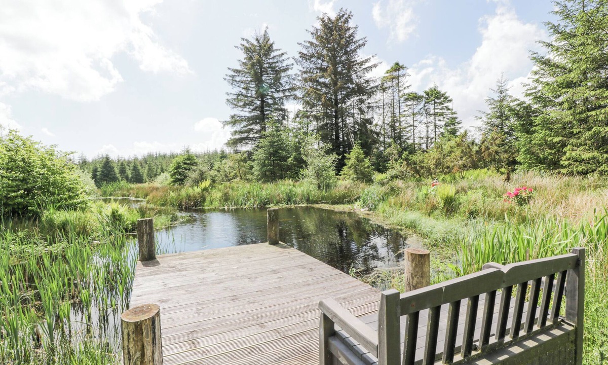 Galloway Forest Park Cottage | Corrafeckloch Forest Cottages