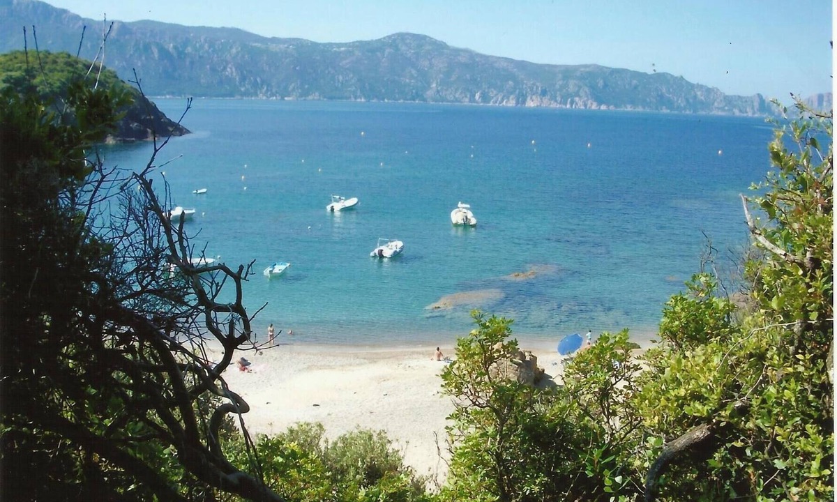 Partinello House | CORSICA, Gulf of Porto, house with terrace and garden, magnificent sea view