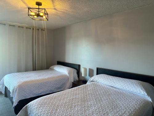Schreiber Hotel | Cosiana Inn