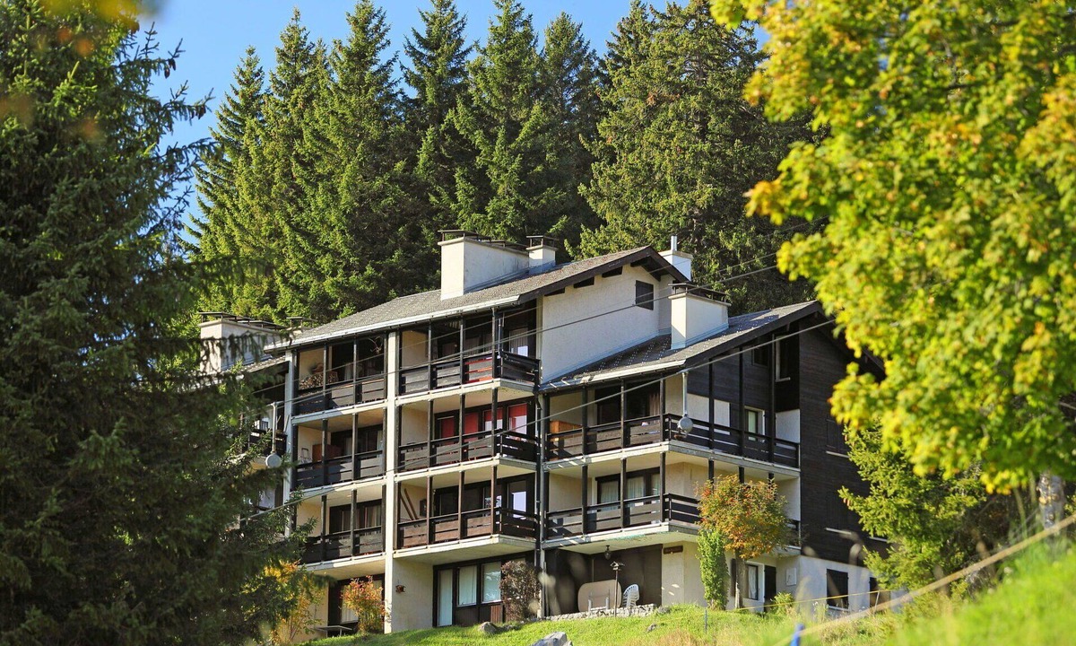 Gryon Apartment | Cosy apartment for 4 people with WIFI, TV, balcony and pets allowed