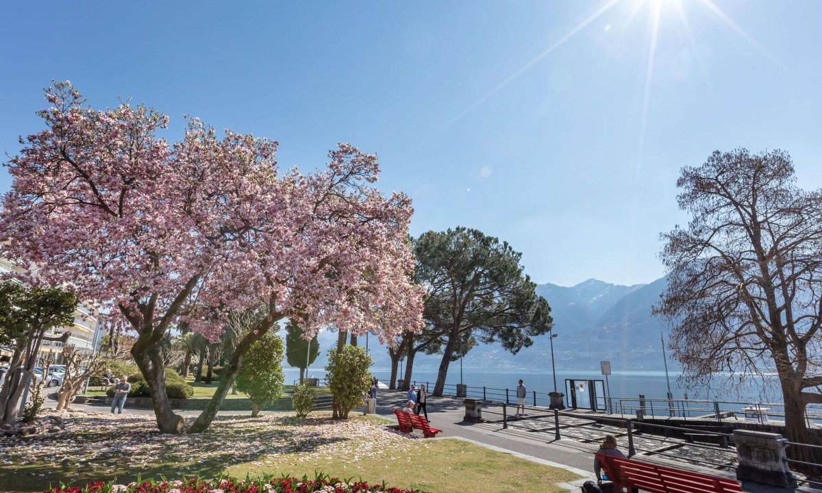 Ascona Apartment | Cosy apartment for 2 guests with WIFI, TV, balcony and pets allowed